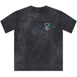Wizard Flick Retro Disc Golf Tee